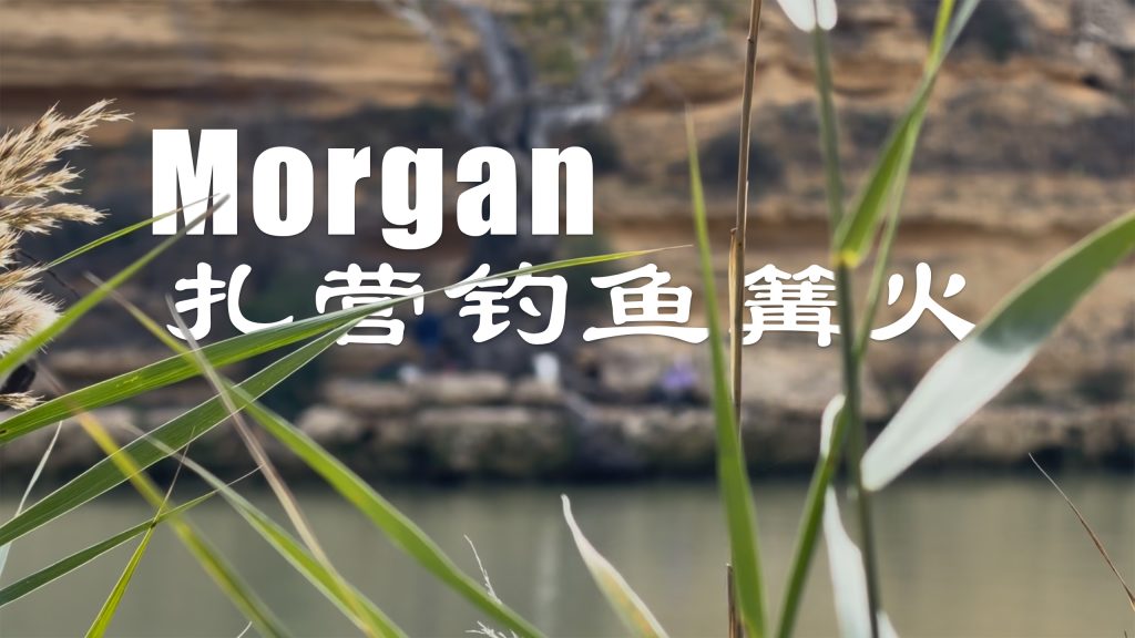 现钓现杀烧烤蒜蓉鲈鱼