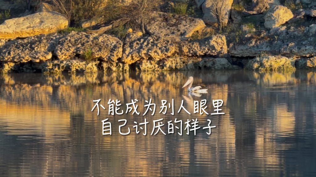 自罚小作文5000字：“不能活成别人眼里自己讨厌的样子”